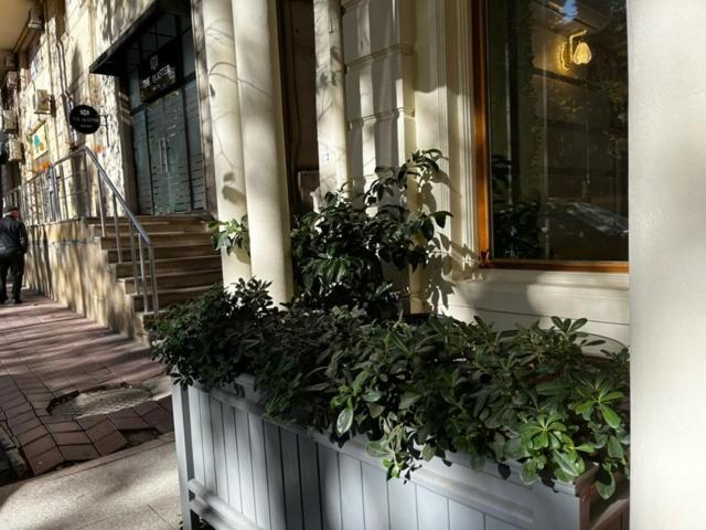 Karat Inn Boutique Hotel Баку Екстер'єр фото